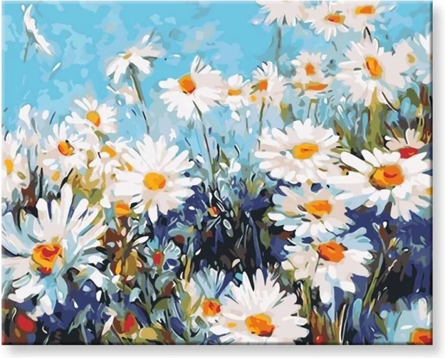 Norimpex Maľovanie podľa čísel Sedmokrásky 40 × 50 cm
