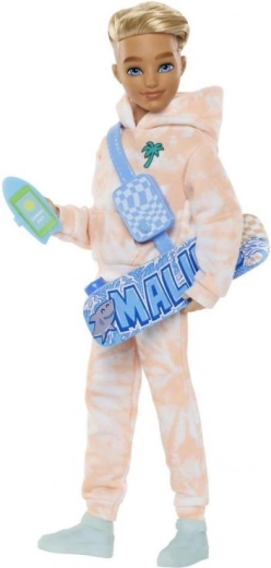 Bábika Barbie Dream Besties Ken so skateboardom a doplnkami