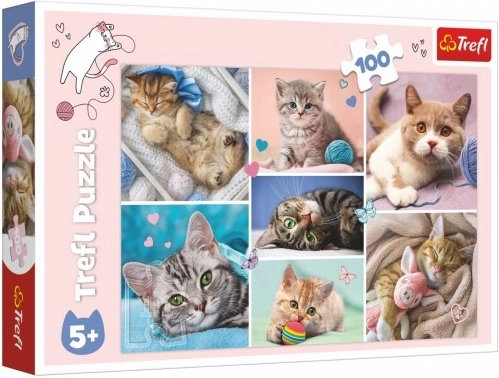Puzzle Vo svete mačiek 100 dielikov Trefl