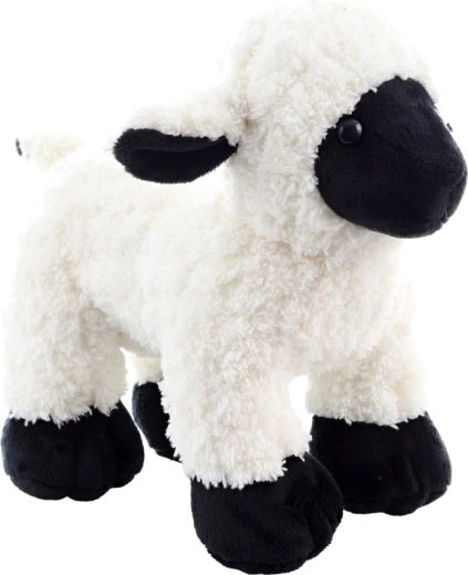 Eco-friendly materiály