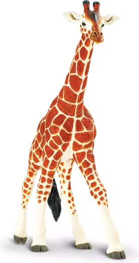 Safari Ltd. žirafa sieťovaná - 1 kus