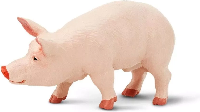 Bezpečné materiály bez škodlivín