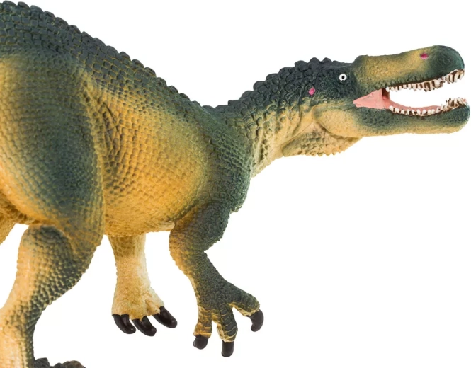 Verné detaily Suchomima