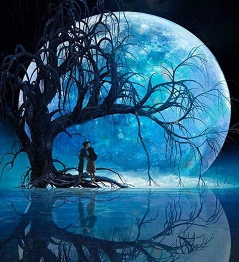 Diamantové Maľovanie Mesiac nad jazerom 30x40cm