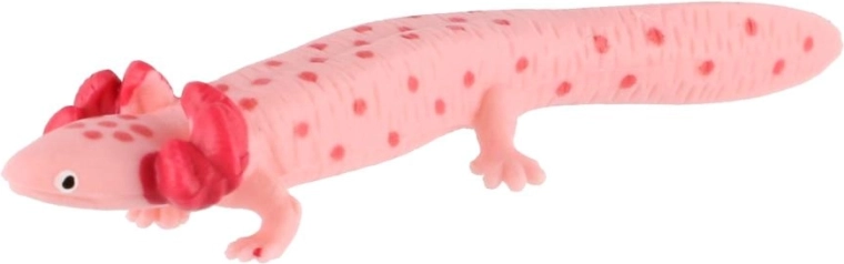 Typický vzhľad axolotla