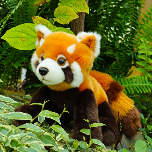 Realistické detaily červenej pandy