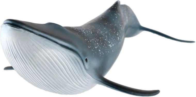 Veľkosť 27 cm