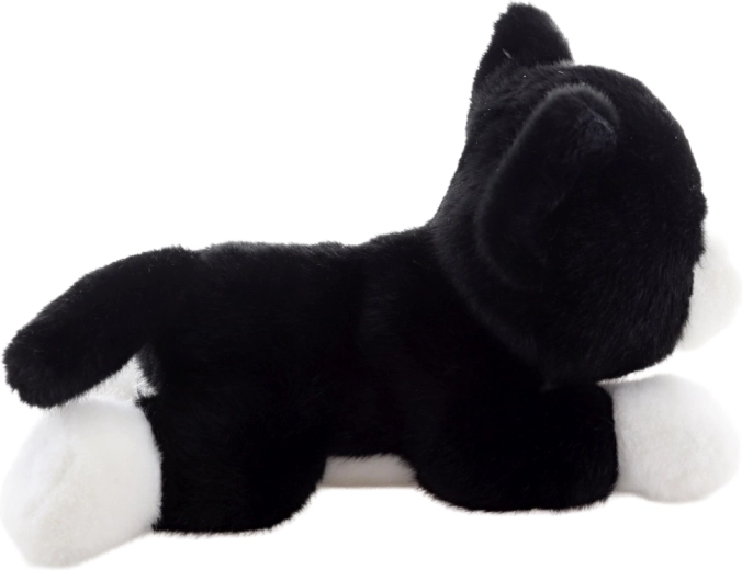 Ľahká a ideálna na cesty