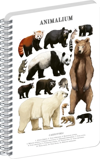Notique špirálový blok Animalium – medveďovité šelmy, čistý, A5
