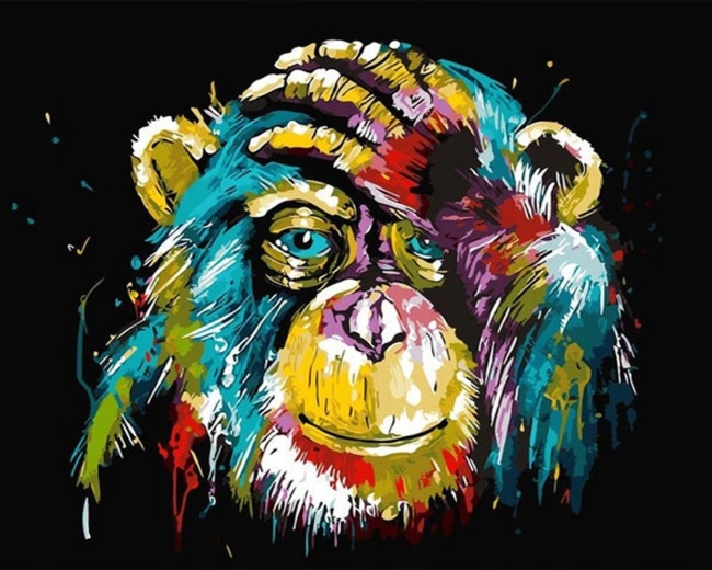Norimpex Maľovanie podľa čísel Farebná opica 40 × 50 cm