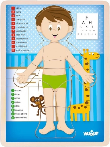 Woody obojstranné puzzle Ľudské telo - chlapec