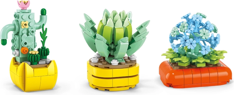 Kaktusy a sukulenty bez starostlivosti