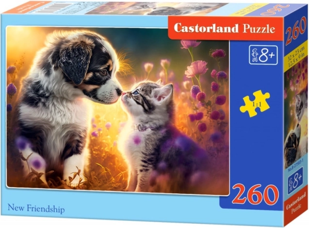 Puzzle 260 dielikov – mačiatko a psík: nové priateľstvo