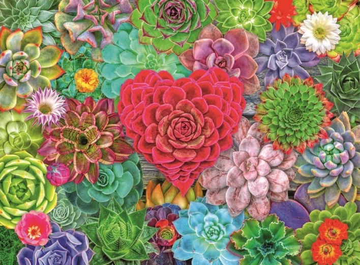 Puzzle Sukulentný raj 500 dielikov