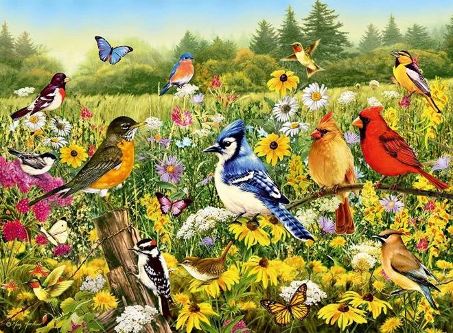 Ravensburger puzzle Vtáčia lúka 500 dielikov