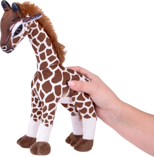 Stabilný postoj na hranie aj dekoráciu