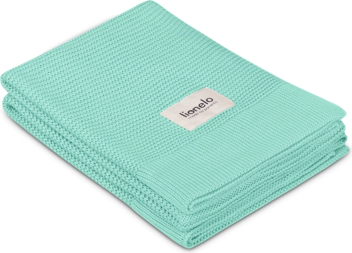 Mäkká bambusová deka Green Mint Lionelo