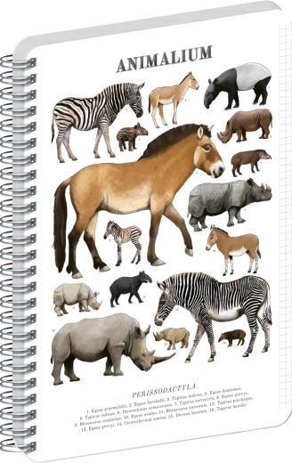 Notique špirálový blok Animalium – nepárnokopytníky, A4, štvorčekový