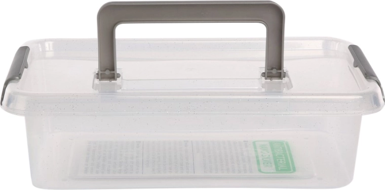 Antibakteriálny úložný box s vekom a rukoväťou 3,1 l (29 × 20 × 8 cm)