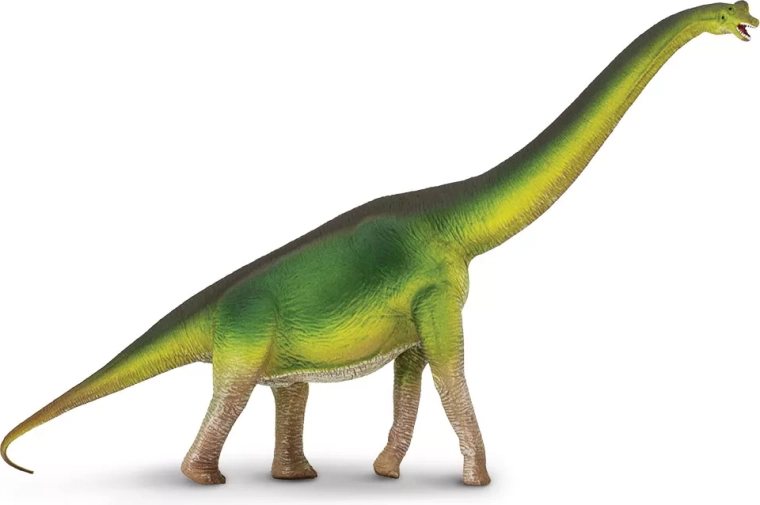 Safari Ltd. figúrka brachiosaura - 1 kus