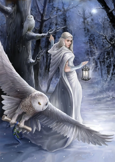 Puzzle Anne Stokes Polnočný posol 1000 dielikov
