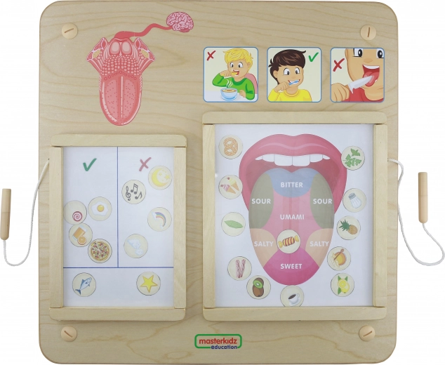 Masterkidz Vzdelávacia Tabuľa Zmysel Chuti Montessori