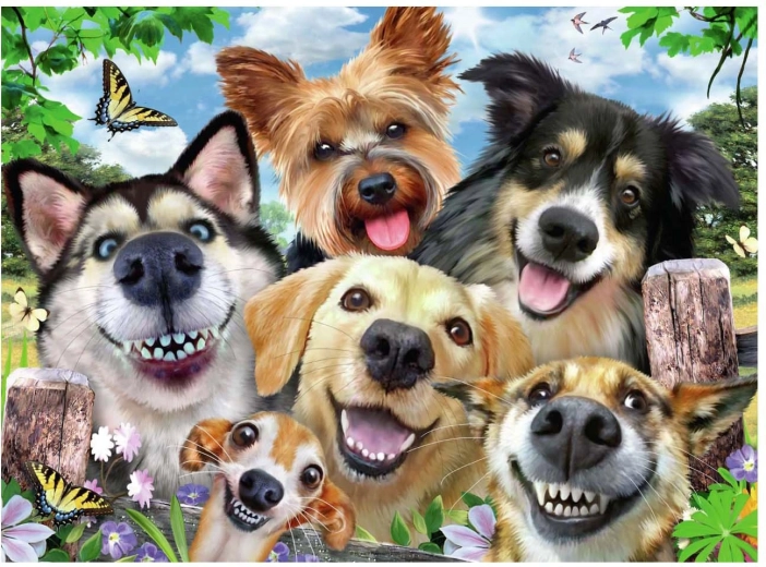 Selfie psov puzzle 500 dielikov Ravensburger