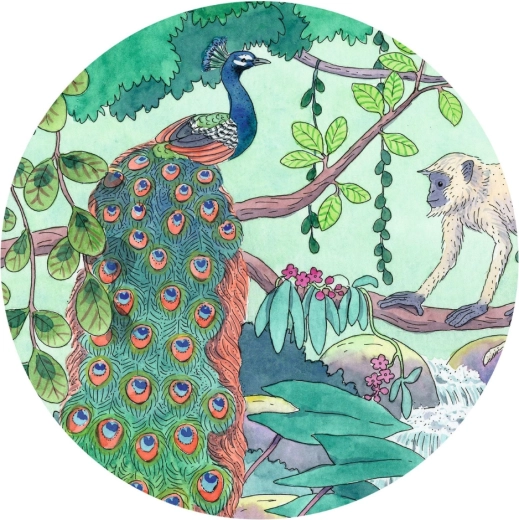 Vibrantná ilustrácia plná farieb