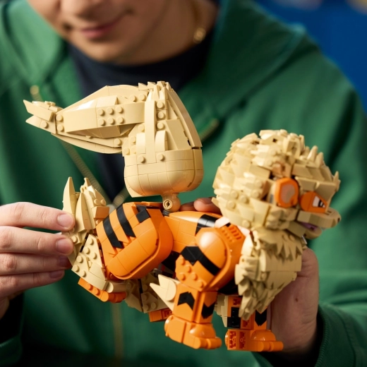 Stavanie s aplikáciou LEGO Builder