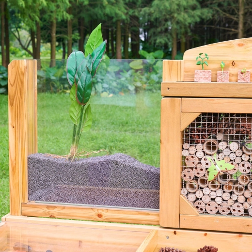 Koreňový panel: sledujte rast rastlín v reálnom čase