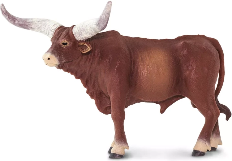 Typické rohy watusi v realistickom prevedení