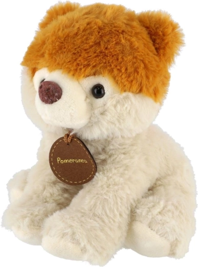 Rozmanitý mix druhov v balení 10 ks