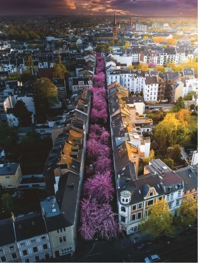 Ravensburger puzzle 1500 dielikov Bonn, Nemecko