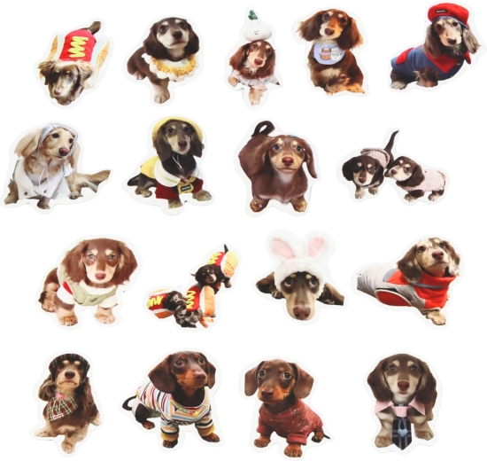 Ideálna veľkosť 5 cm na dekorovanie