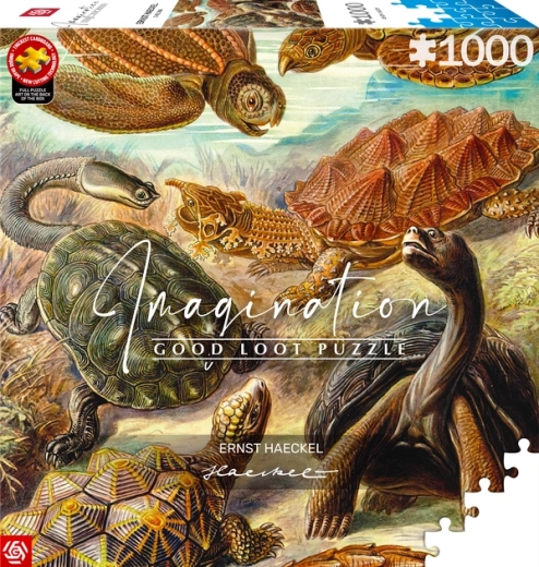 GOOD LOOT Puzzle Imagination: Ernst Haeckel – morské korytnačky, 1000 dielikov
