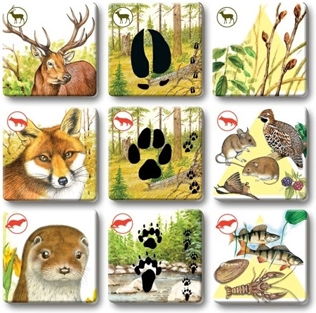 Odolné kartičky na časté hranie