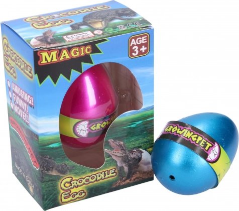 Rastúce krokodílie vajce 6,5 cm