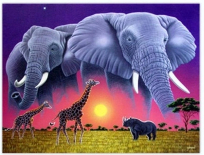 Norimpex maľovanie podľa čísel Slony 40 × 50 cm