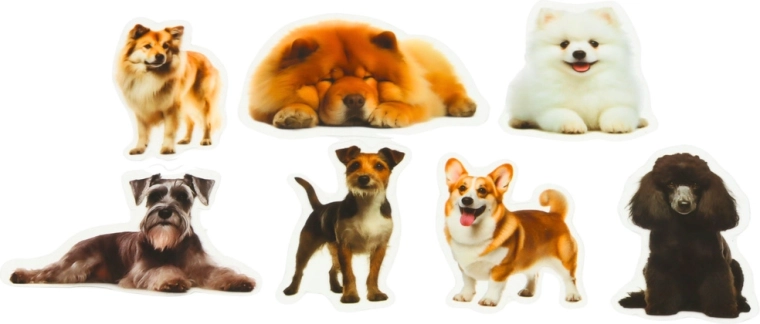 Priehľadné pozadie pre čistý vzhľad