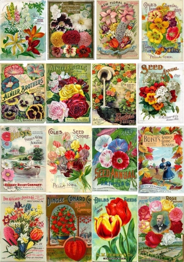 Enjoy puzzle vintage balíčky kvetinových semien 1000 dielikov