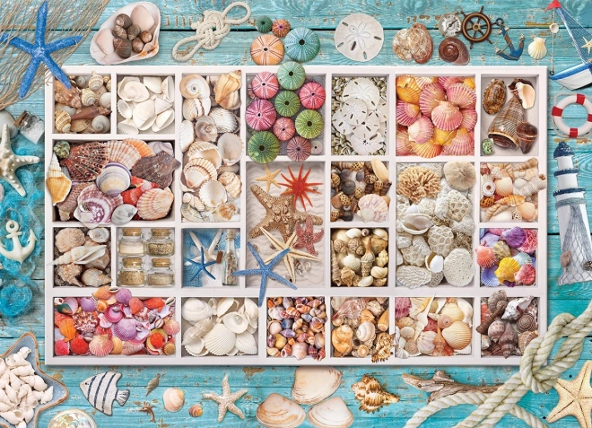Puzzle EUROGRAPHICS Laurina zbierka mušlí – 1000 dielikov