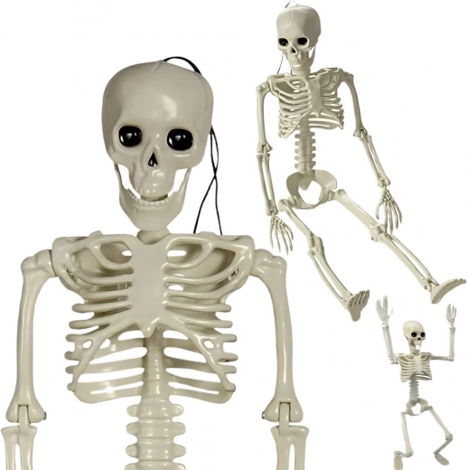 visiaca plastová kostra 40 cm – halloweenska dekorácia