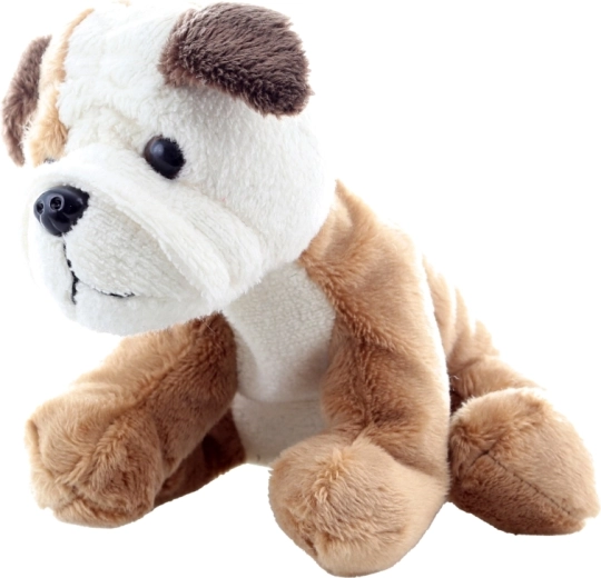 Bezpečný pre najmenších (0+)