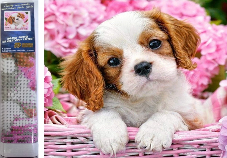 Diamantové maľovanie šteniatko v ružovom košíku 30 × 40 cm