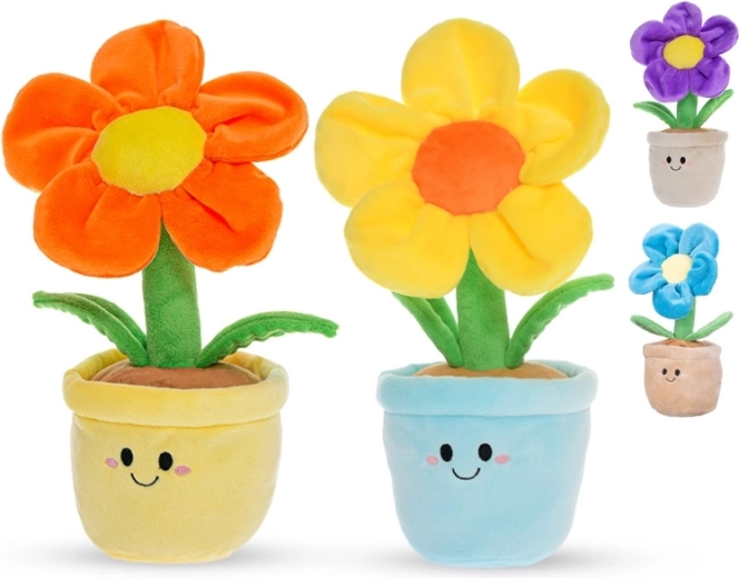 Bezpečné od narodenia (0+)