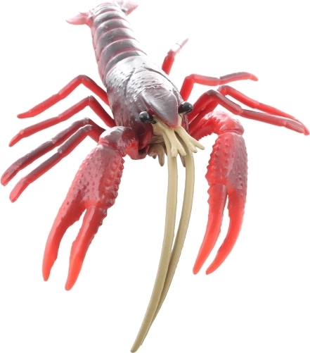 Ideálna veľkosť do detskej ruky