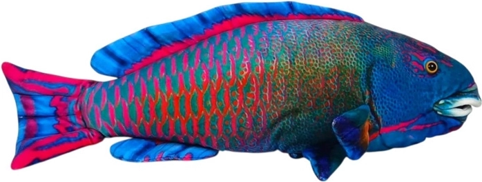 Morská ryba modrá plyšová 50 cm