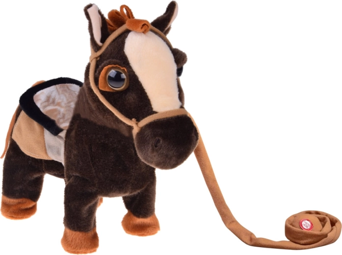 Vôdzka na vedenie a realistickú hru