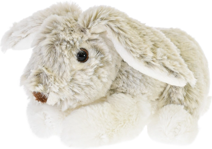 Roztomilé detaily a dlhé ušká