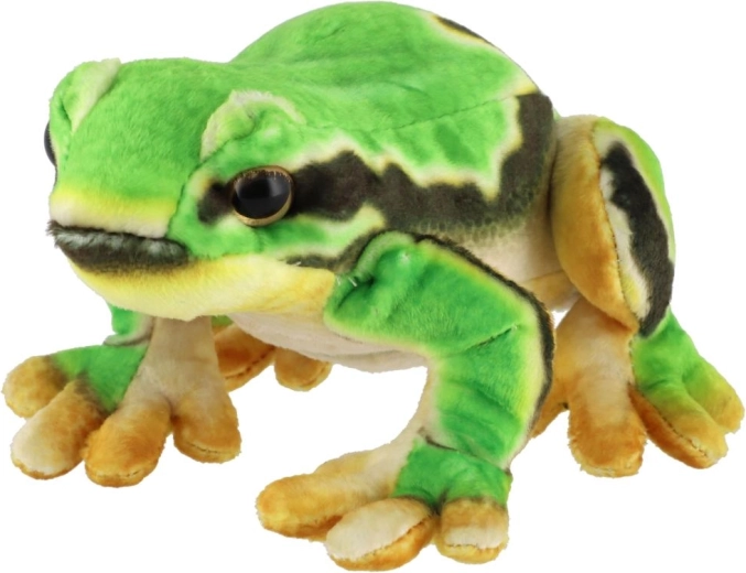 Roztomilý realistický vzhľad